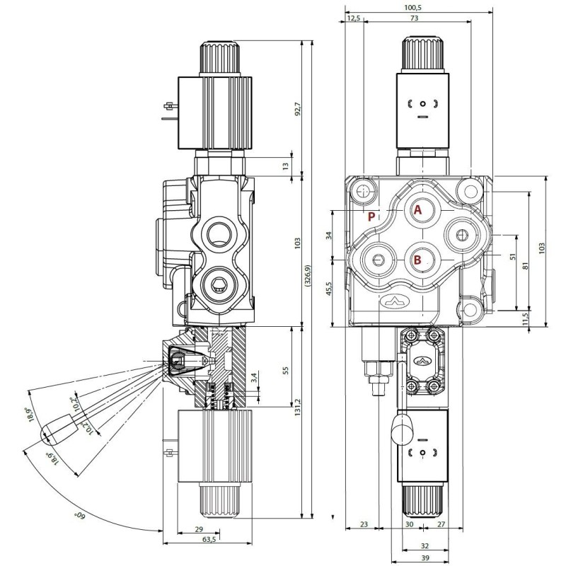 1 Sektion-Monoblockventil SD5/1-P 3/8" Max 315 bar Walvoil