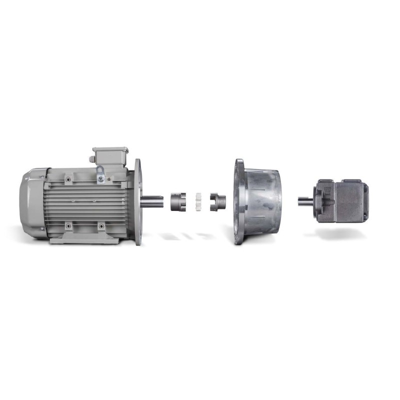 Aluminium Pumpenträger und Stahl Klauenkupplungen PT/RV