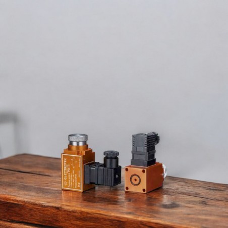 Druckschalter – einstellbar Wechsler PSK ELETTROTEC