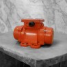 OLI ELEKTRISCHER SCHWINGUNGSMOTOR MVE 50/1 3 PHASEN 116LB