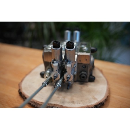 Proportionalventil Walvoil DPX100 2 Funktionen Nachkompensation