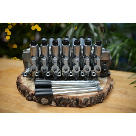 Proportionalventil Walvoil DPX100 7 Funktionen