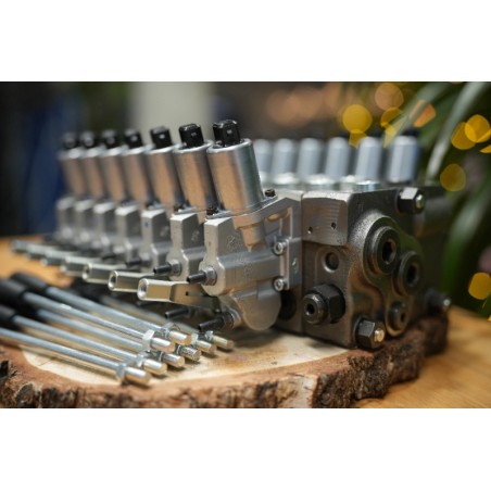 Proportionalventil Walvoil DPX100 7 Funktionen