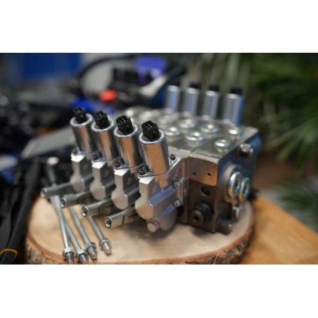 Scanreco 4-Funktionen-Fernbedienung + DPX 100-Ventil 24V Plug-&-Play-Set