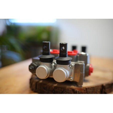 Elektromagnetisches Steuerventil Q75 2 -Spool, 90 L/Min  Elektrisch Solenoid 24V + Hebel