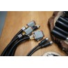 2 Mini-Joysticks Otto + Walvoil DPX 100 mit 8 Funktionen für Forstkrane