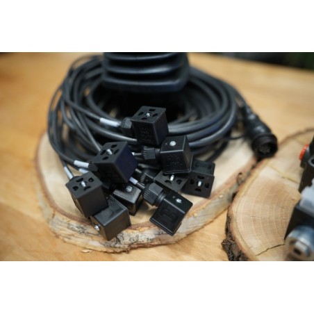 4 positions joystick 5 buttons + Monoblock Vave 4-spool hydraulic solenoid 80 l/min 13GPM 24VDC