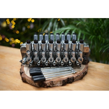 Walvoil DPX100 Proportionalventil mit 8 Funktionen