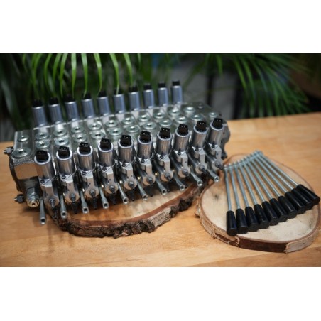 Walvoil DPX100 Proportionalventil mit 10 Funktionen