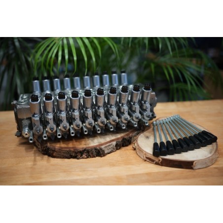Walvoil DPX100 Proportionalventil mit 10 Funktionen