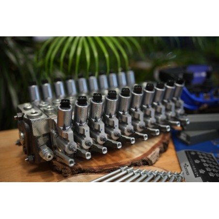 Walvoil DPX100-Ventil mit 10 Funktionen und Scanreco RC400 G2B mit 3 Joysticks