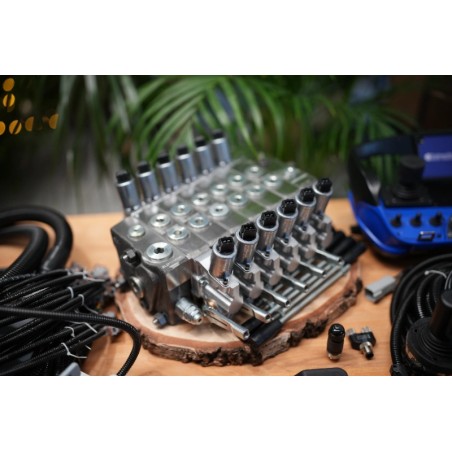 2 Mini-Joysticks Otto + Scanreco-Fernbedienung für Walvoil DPX100 6 Funktions Kran
