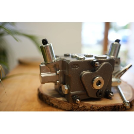 Walvoil DPX100 1-Wege-Ventil + Proportionalpotentiometer VPP3