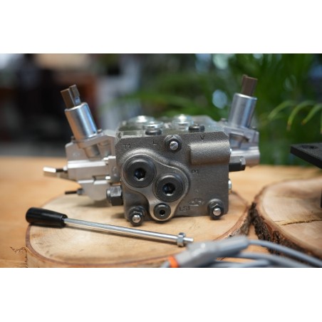 Proportional-Steuerpult Fire Salamander mit Hydraulikventil DPX100 1 Funktion
