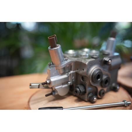 Proportional-Steuerpult Fire Salamander mit Hydraulikventil DPX100 1 Funktion