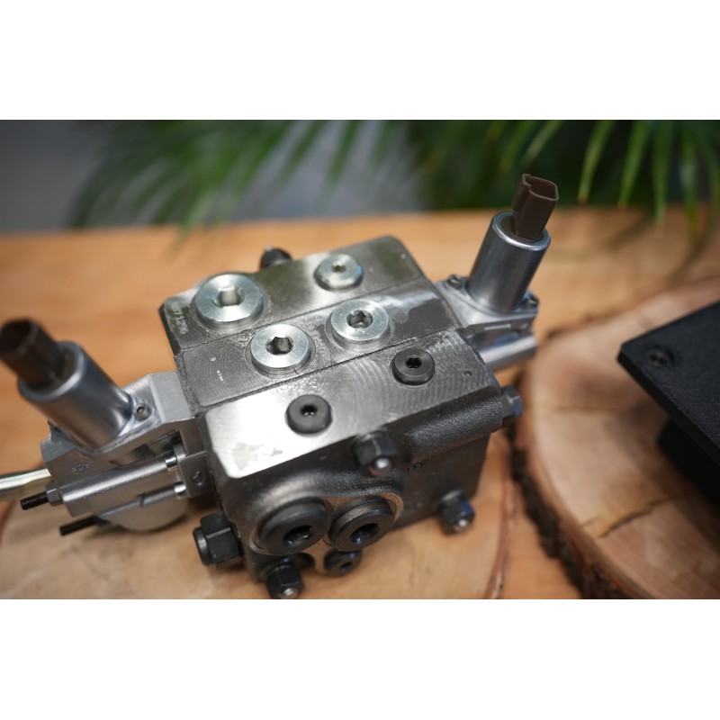 Proportional-Steuerpult Fire Salamander mit Hydraulikventil DPX100 1 Funktion