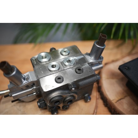 Proportional-Steuerpult Fire Salamander mit Hydraulikventil DPX100 1 Funktion