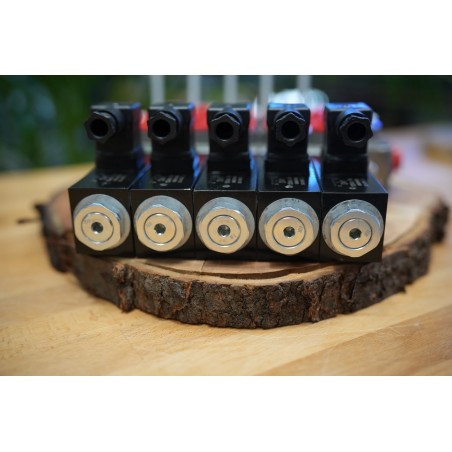 Elektromagnetisches Steuerventil 5 -spool Q45 60l/min 12 V