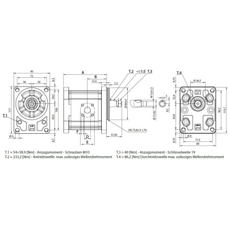 Frontsektion Außenzahnradpumpe Baugröße 2 XV-Serie EINPASS Ø80 Vivoil