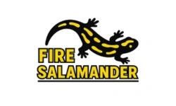 Fire Salamander